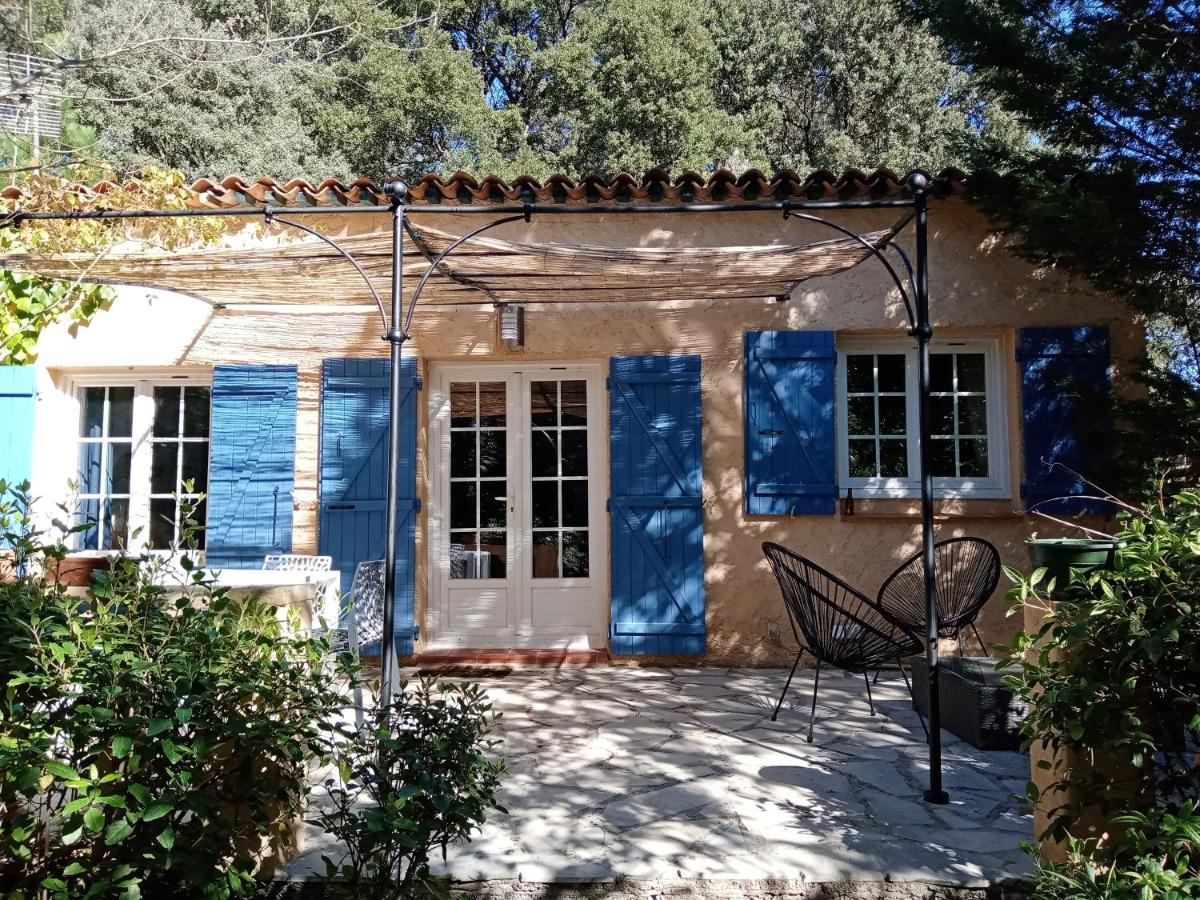 Отель Au Mas Saint Pierre Pignans Экстерьер фото